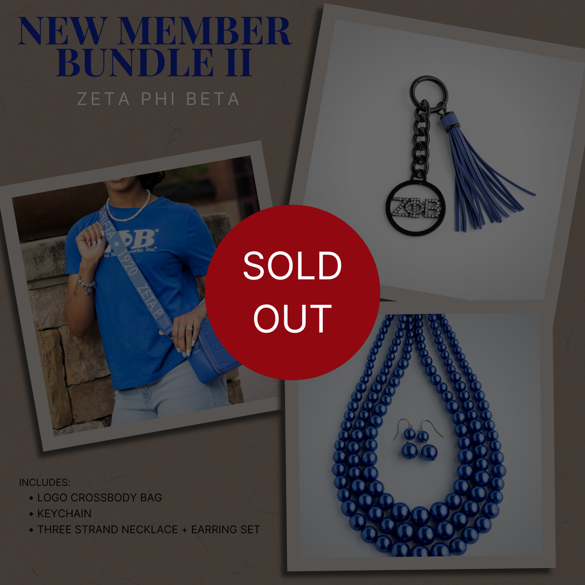 NEW MEMBER BUNDLE II - ZETA PHI BETA – Hey Greeks
